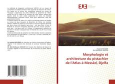 Bookcover of Morphologie et architecture du pistachier de l’Atlas à Messâd, Djelfa