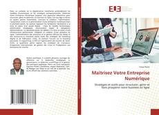 Maîtrisez Votre Entreprise Numérique kitap kapağı