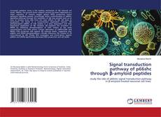 Capa do livro de Signal transduction pathway of p66shc through β-amyloid peptides 