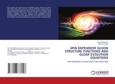 Copertina di SPIN DEPENDENT GLUON STRUCTURE FUNCTIONS AND GLDAP EVOLUTION EQUATIONS