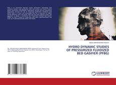 Copertina di HYDRO DYNAMIC STUDIES OF PRESSURIZED FLUIDIZED BED GASIFIER (PFBG)