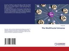 Buchcover von The Multifractal Universe
