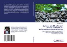 Surface Modification of Porous Carbons for Environmental Remediation kitap kapağı