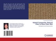 Capa do livro de Hybrid Composite: Natural Fiber & Glass Fiber Mat 