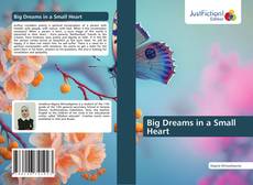 Capa do livro de Big Dreams in a Small Heart 