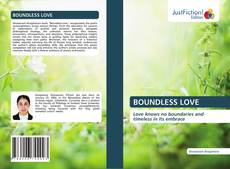 BOUNDLESS LOVE的封面