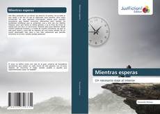 Bookcover of Mientras esperas