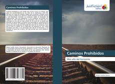 Bookcover of Caminos Prohibidos