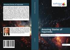 Amazing Stories of Yajurveda的封面