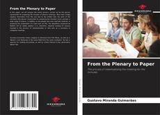 From the Plenary to Paper的封面