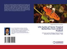 Life Cycles of Some Tropical Butterflies from Andhra Pradesh的封面