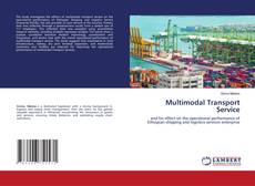 Copertina di Multimodal Transport Service