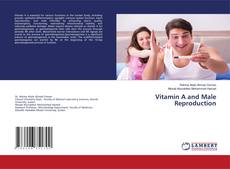 Vitamin A and Male Reproduction的封面