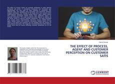THE EFFECT OF PROCESS, AGENT AND CUSTOMER PERCEPTION ON CUSTOMER SATIS的封面