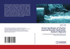 Green Synthesis of (Ca/Fe)-Layered Double Hydroxide-Sodium Alginate的封面