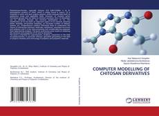 COMPUTER MODELLING OF CHITOSAN DERIVATIVES的封面