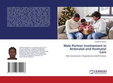 Capa do livro de Male Partner Involvement in Antenatal and Postnatal Care 