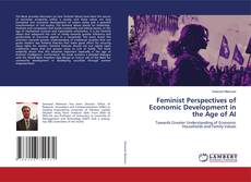 Feminist Perspectives of Economic Development in the Age of AI的封面