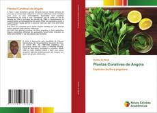 Buchcover von Plantas Curativas de Angola