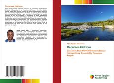 Buchcover von Recursos Hídricos