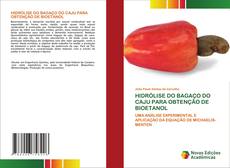 Buchcover von HIDRÓLISE DO BAGAÇO DO CAJU PARA OBTENÇÃO DE BIOETANOL
