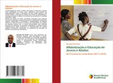 Alfabetização e Educação de Jovens e Adultos kitap kapağı