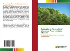 Buchcover von Produção de Pinus elliottii Engelm. e Pinus caribaea Morelet