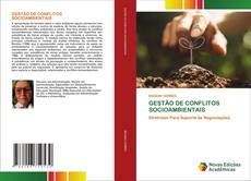 GESTÃO DE CONFLITOS SOCIOAMBIENTAIS kitap kapağı