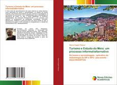 Capa do livro de Turismo e Estudo do Meio: um processo informal/alternativo 