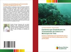 Bookcover of Factores que Contribuem na Transmissão da Cólera no Municipio de Tete