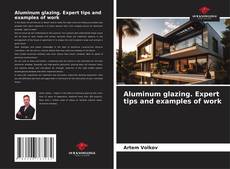 Copertina di Aluminum glazing. Expert tips and examples of work