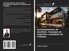 Copertina di Acristalamiento de aluminio. Consejos de expertos y ejemplos de trabajos
