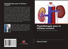 Buchcover von Phytothérapie pour la lithiase urinaire