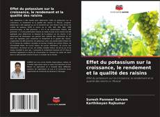Borítókép a  Effet du potassium sur la croissance, le rendement et la qualité des raisins - hoz