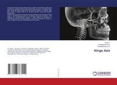 Buchcover von Hinge Axis