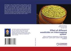 Bookcover of Effect of different weedicides on intercropping system
