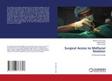 Buchcover von Surgical Access to Midfacial Skeleton