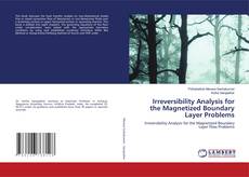 Buchcover von Irreversibility Analysis for the Magnetized Boundary Layer Problems
