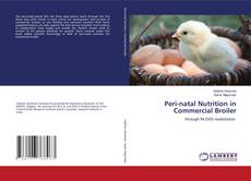 Copertina di Peri-natal Nutrition in Commercial Broiler