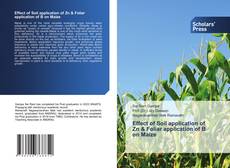 Обложка Effect of Soil application of Zn & Foliar application of B on Maize