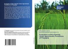 Bookcover of Evaluation of Rice Hybrids Under Agroclimatic Conditions of Prayagraj