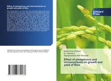 Effect of phosphorus and micronutrients on growth and yield of Rice kitap kapağı