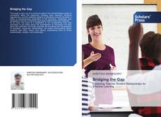 Bookcover of Bridging the Gap