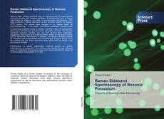 Buchcover von Raman Sideband Spectroscopy of Bosonic Potassium