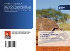 Copertina di GLAMOUR OF HAUSA CULTURE