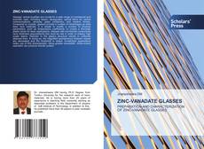 Copertina di ZINC-VANADATE GLASSES