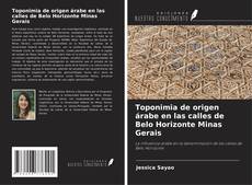 Buchcover von Toponimia de origen árabe en las calles de Belo Horizonte Minas Gerais