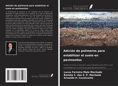 Capa do livro de Adición de polímeros para estabilizar el suelo en pavimentos 