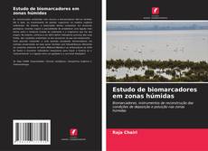 Couverture de Estudo de biomarcadores em zonas húmidas