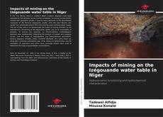 Impacts of mining on the Izégouande water table in Niger kitap kapağı